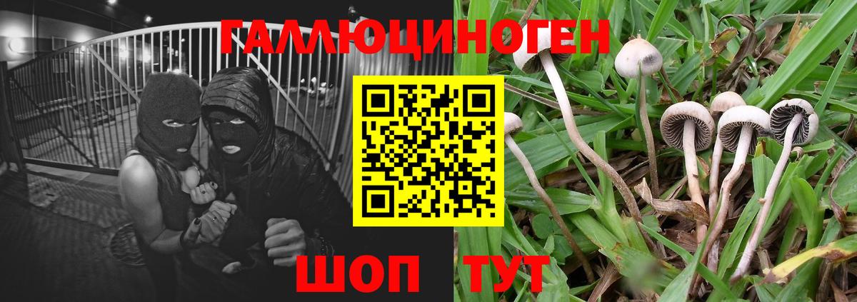 Галлюциногенные грибы Cubensis  Вход с VPN  Усолье-Сибирское 
