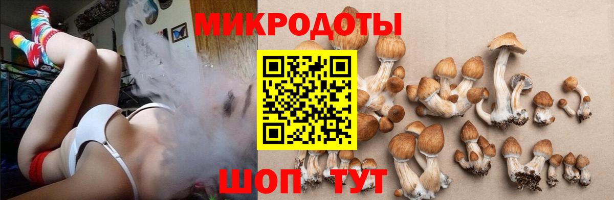 Галлюциногенные грибы MAGIC MUSHROOMS Усолье-Сибирское